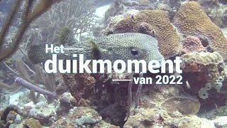 Het duikmoment van 2022 - Bonaire (2)