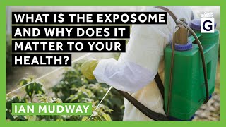 What Is the Exposome and Why Does It Matter to Your Health?
