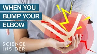 Why Your Elbow Hurts When You Bump It The Wrong Way