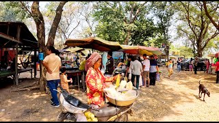 Street Food Tour in Countryside Market and City of Cambodia - Best Street Food Compilation #14