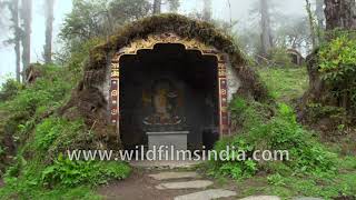 Buddhist temple hidden deep inside high altitude forest in a Bhutan, with Buddha idols and paintings