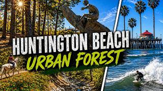 Hidden Forest in Huntington Beach?! 🌲 (Most Locals Don’t Even Know This Exists)