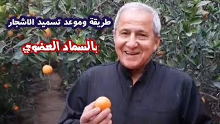 طريقة وموعد تسميد الاشجار