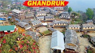 Ghandruk Village | Beautiful Village in Nepal | Ghandruk Cultural Museum | Ghandruk Tea Garden