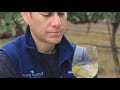 hahn appellation series 2019 chardonnay