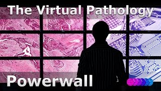 The Pathology Powerwall: A Virtual Reality Microscope for Histopathology