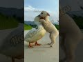 Cute pets, most oddly satisfying video | #shorts | neelx short videos