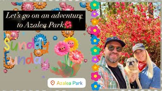 Exploring Azalea Park in Summerville, SC | Gardens, Sculptures & Southern Charm @AshBeesofficial