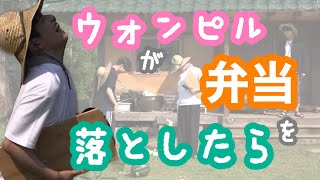 【DAY6】ウォンピルが弁当を落としたら【日本語字幕】