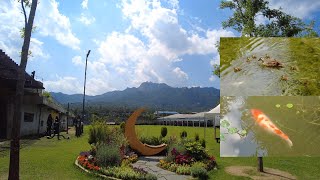 [4K Walk Views] 평일 도봉산역 서울 창포원 오리 잉어와 함께 산책  랜선여행. Changpowon Seoul Dobong