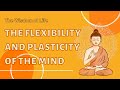 【ENG DUB】The Flexibility and Plasticity of the Mind | 心的弹性和可塑性