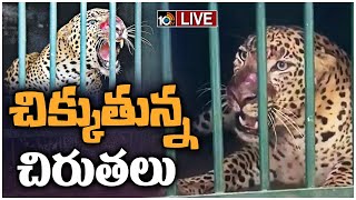 LIVE: తిరుమలలో ముమ్మరంగా ఆపరేషన్‌ చిరుత | Operation Cheetahs | Tirumala Tirupati | 10TV