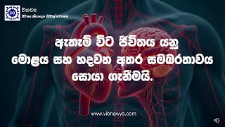 ඇතැම් විට ජීවිතය යනු මොළය සහ හදවත අතර සමබරතාවය සොයා ගැනීමයි. The Balance Between Heart and Brain