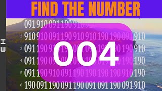 The Ultimate Brain Teaser: Can You Find The Number in Time?