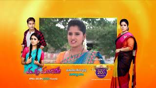 Kalyana Vaibhogam - Spoiler Alert - 18 July 2019 - Watch Full Episode BEFORE TV On ZEE5 - EP - 579