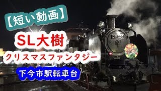 SL大樹「クリスマスファンタジー」下今市駅転車台_18:45入線(2019)