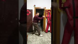 戴家心意拳小动连发 (Continuous strikes) - Dai's Xinyi #kungfu #martialarts #xingyiquan #心意拳唐宁泰 #chinese#功夫