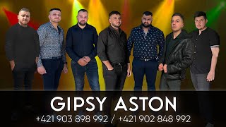 GIPSY ASTON - FOX - Čeňa zlata