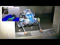 towards autonomous inspection of concrete deterioration in sewers with legged robots