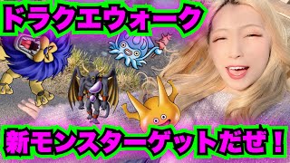 【ドラクエウォーク】新仲間モンスターどんな感じ？無課金ギャル勇者がいく！