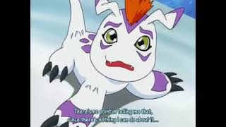 Shake the Gomamon!