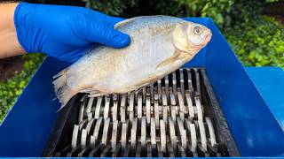 Shredding Fish! Amazing Video!