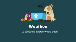 Présentation de la Woufbox ! Coffret cadeau pour chien 🐶