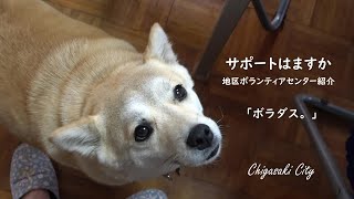 【ボラダス。】看板犬が可愛すぎた！！茅ヶ崎で最初に出来た 地区ﾎﾞﾗﾝﾃｨｱｾﾝﾀｰ に行ってみた。（ｻﾎﾟｰﾄはますか）