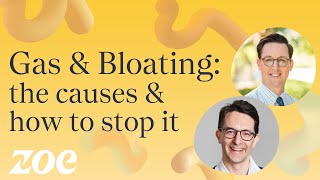 Gas and bloating: the causes and how to stop it | Dr. Will Bulsiewicz