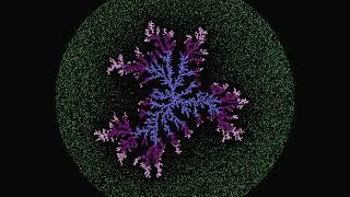 Diffusion Limited Aggregation (DLA) Simulation