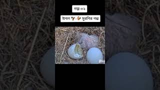 এক পাহাড়ে একটি ঈগল বাস করত ||