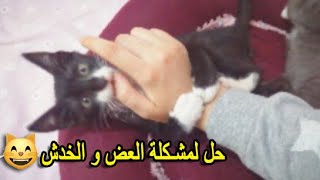 !  قطك يعضك 😾 و يخربشك 🐈/ إليك الحل النهائي  #قطط_للتبني