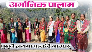 किरात लिम्बु जातिमा आधारित अर्गानिक पालाम || Organic Palam based on Kirat Limbu caste.....