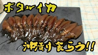 ホタルイカ沖漬け食らうだけ!!