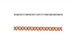 Introduction to Neural Networks for C#(Class 5/16, Part 1/5) - genetic algorithm