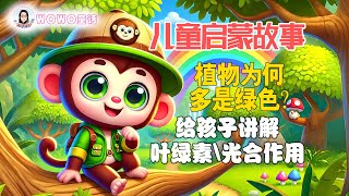 儿童启蒙故事《植物为何多是绿色》给孩子讲解叶绿素和光合作用！