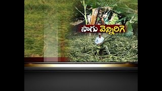 JaiKisan TS | 7th Apr '18 | పంట నష్టపోయిన రైతులను ఆదుకోవాలి: పార్టీలు