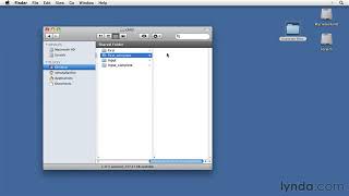 Foundations of Programming Fundamentals - Introduction - 3 Using the exercise files