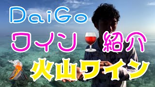 （おススメ）DaiGoのワイン🍷スペイン🇪🇸産《Daigoの切り抜き》