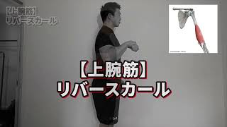 【リバースカール】上腕筋のトレーニング【バズーカ岡田の筋肉事典】#shorts