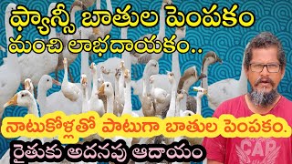 ఫ్యాన్సీ బాతుల పెంపకం||khajana,Manila, white pecking||Fancy Duck farming||DNR Agri farming