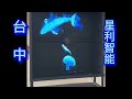 裸眼3d廣告機如何使用