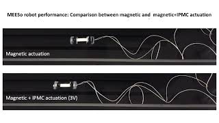 Magnetically-actuated Endoluminal Soft Robot with Electroactive Polymer Actuation