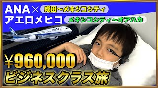 【正直レビュー】成田→メキシコシティ 90万円 ANAビジネスクラス空間をご紹介！✈️