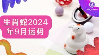 生肖蛇9月2024年运势 属蛇人2024年9月份运势详解 #生肖蛇 #2024年运势 #9月运势 #属蛇运势