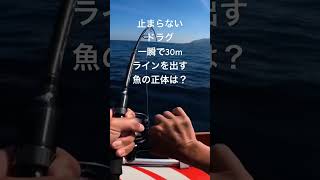 一瞬でラインを30メーター出す魚の正体が！