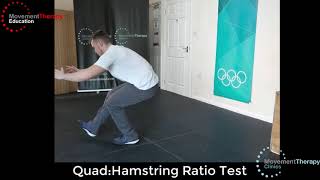 Landing Mechanics Tests