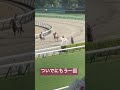 ☆ほぼ札幌競馬場2024☆no.126☆7月20日.札幌.12r☆ カルパ horse サラブレッド 馬 競馬場 札幌競馬場