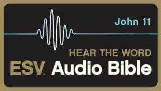 ESV Audio Bible, Gospel of John, Chapter 11