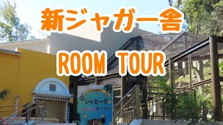 豪華！新ジャガー舎ルームツアー【東山動植物園】